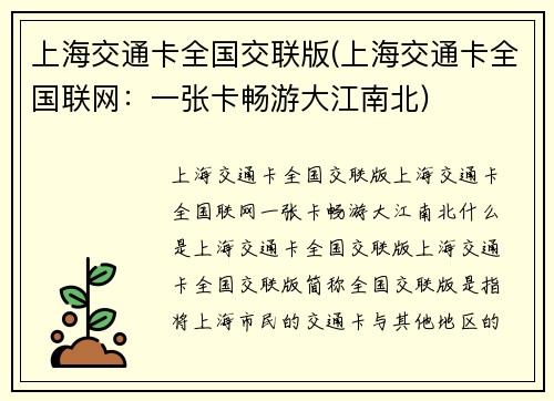 上海交通卡全国交联版(上海交通卡全国联网：一张卡畅游大江南北)